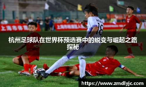 letou米兰国际赞助